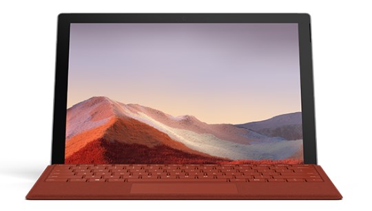 澄江清洁和维护 Surface